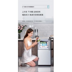 小型双开门小冰箱 冷冻冷藏迷你电冰箱