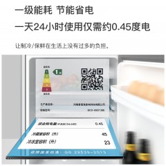 小型双开门小冰箱 冷冻冷藏迷你电冰箱