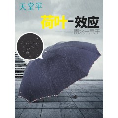 天堂伞加大雨伞大号折叠结实伞