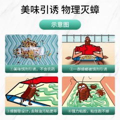 日本安速蟑螂强力粘无毒小屋子20片