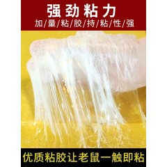 30张强力粘鼠板捉粘大老鼠贴沾胶抓灭鼠捕鼠神器强力一窝端