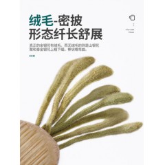 金银花30g/罐