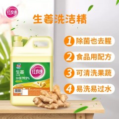 红玫瑰生姜餐具洗洁精大桶10斤