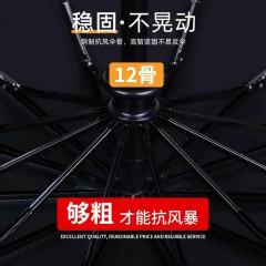12骨自动雨伞男女折叠伞加大加固