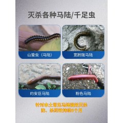 防爬虫千足虫金环马陆虫药杀虫剂室内大容量