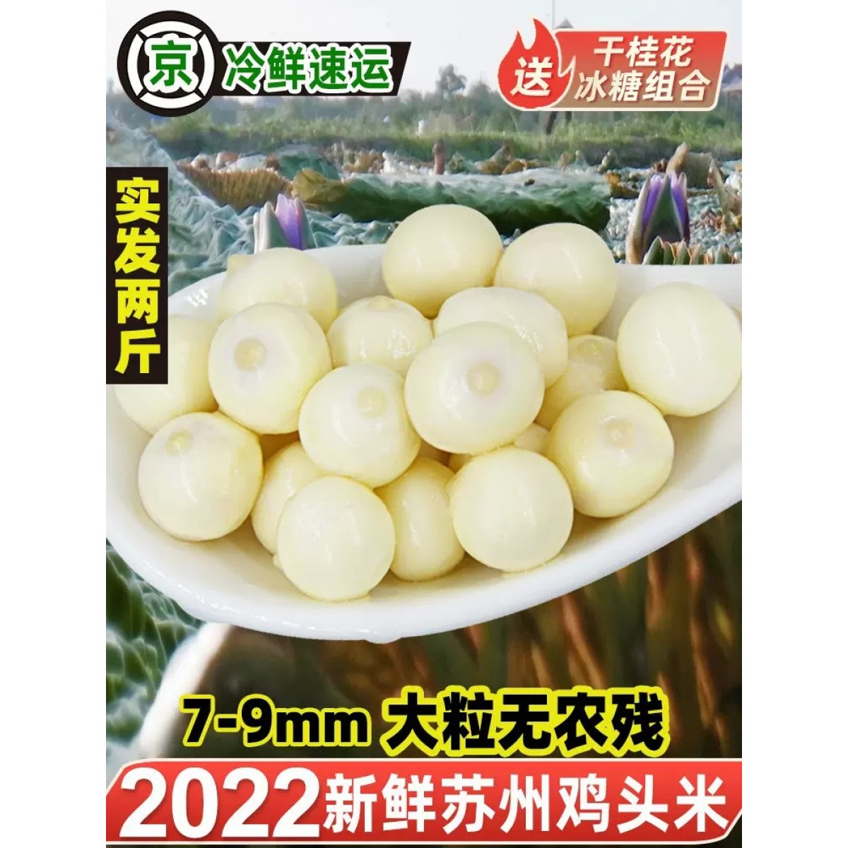 苏州特产大颗粒新鲜芡实1000g