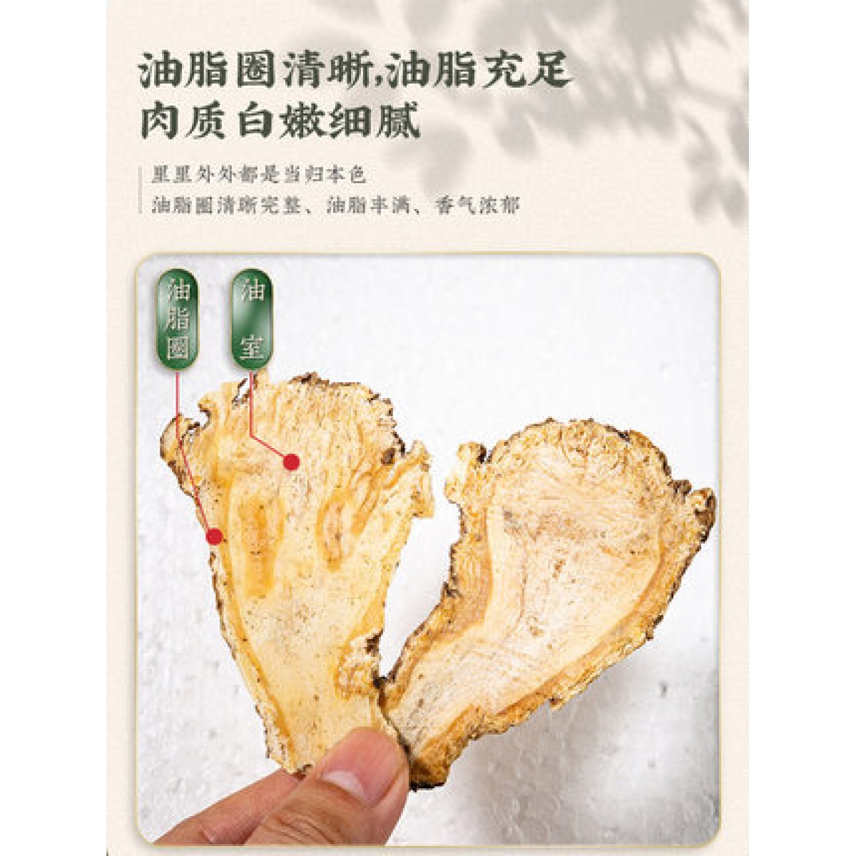 岷县当归头片85g/罐