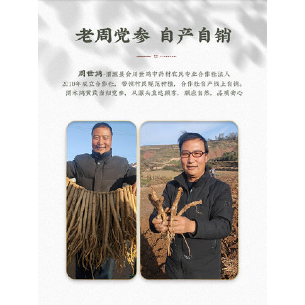 特级党叁干货250g/袋