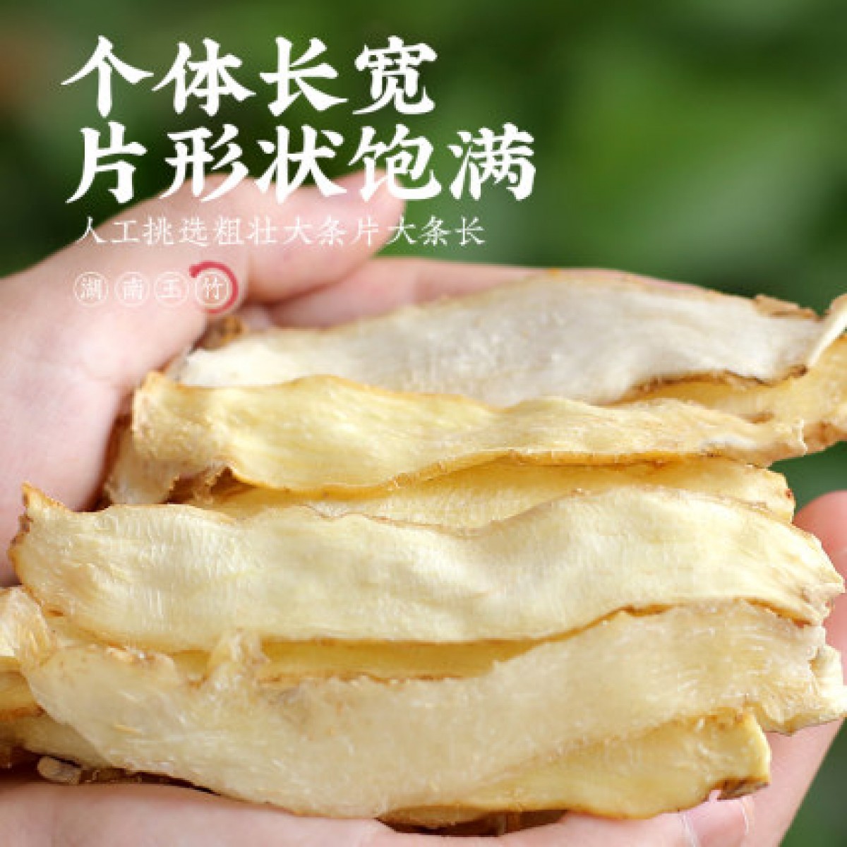 正宗湘玉竹干货100g/罐