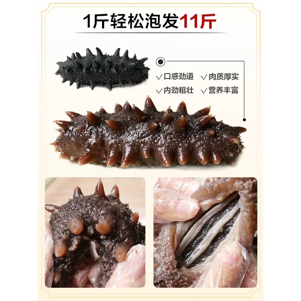 淡干海参干货50g【简装】