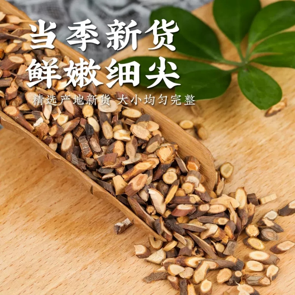 桂枝尖片500g/袋