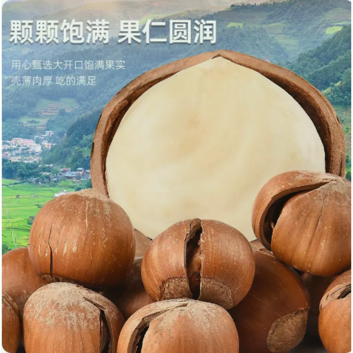 开口大榛子奶油味炒货坚果零食250g*1袋