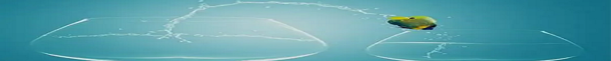 截图20220818102010.png