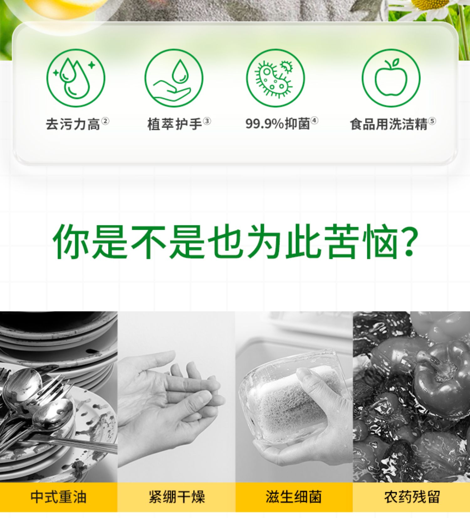 O1CN01FcI00K266o20Sqc29_!!2614707613.jpg