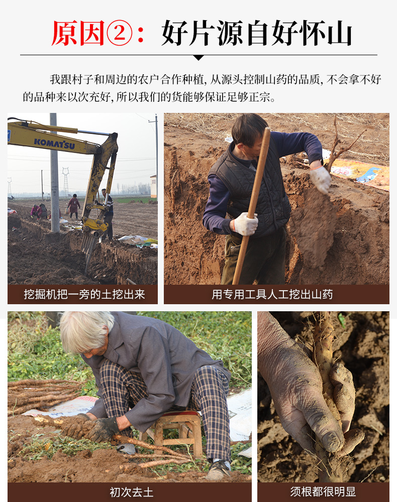 山药片-优化_16.jpg